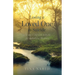 Losing A Loved One to Suicide: A Daily Devotional of Comfort and Healing
