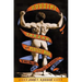 Houdini, Tarzan, and the Perfect Man: The White Male Body and the Challenge of Modernity in America
