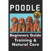 Poodle Beginners Guide: Training & Natural Care