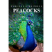 Peacocks - Curious Kids Press
