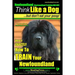 Newfoundland, Newfoundland Training AAA AKC: Think Like a Dog, but Don't Eat Your Poop! Newfoundland Breed Expert Training: Here's EXACTLY How to Trai