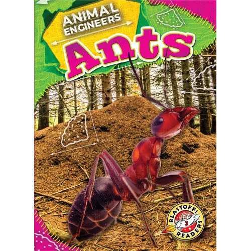 Ants