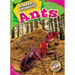 Ants