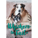 Whiskers to Tail: A Guide to Health Conditions of Dogs and Cats