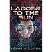 Ladder To The Sun