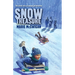 Snow Treasure