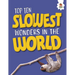 Top Ten Slowest Wonders in the World