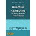 Quantum Computing for Programmers and Investors