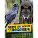 Ravens and Wolves Team Up!