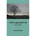 under a gunmetal sky: 101 short poems 20 longer poems
