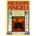 Necessary Angels