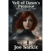 Veil of Dawn's Promise