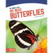 We Need Butterflies