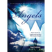 My Angels Connections