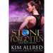 A Stone Forgotten Large Print: Time Travel Adventure Romance