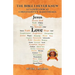 The Bible I Never Knew: A Closer Look At Christianity's Main Themes