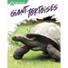 Giant Tortoises