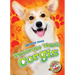 Pembroke Welsh Corgis
