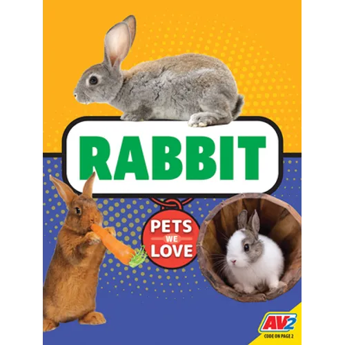Rabbit