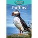 Puffins