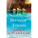 Secrets Between Friends: 'A Warm, Sensitive Story about the Power of Female Friendship . . . and the Joy of Second Chances' Lucy Diamond