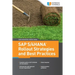 SAP S/4HANA Rollout Strategies and Best Practices