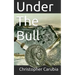 Under the Bull