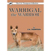 Warrigal the Warrior