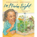 In Plain Sight