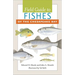 Field Guide to Fishes of the Chesapeake Bay