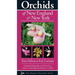 Orchids of New England & New York