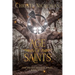 Age of Saints: A Dark Irish Historical Fantasy