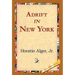 Adrift in New York