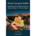 Miracles Among the Rubble: Bringing Convoys of Humanitarian Aid, Hugs, and Hope to a War-torn Region