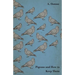 Pigeons and How to Keep Them