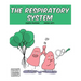 The Respiratory System