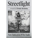 Streetlight