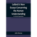 Leibniz's New Essays Concerning the Human Understanding: A Critical Exposition