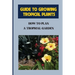 Guide To Growing Tropical Plants: How To Plan A Tropical Garden: Plant Types For Tropical Garden