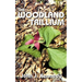 The Woodland Trillium