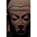Absorption. Human Nature and Buddhist Liberation