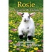 Rosie A Goat in My Kitchen
