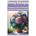 Growing Hydrangeas: A Beginner Guide to Cultivating and Caring for Hydrangea Plants