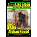 Afghan Hound, Afghan Hound Training Think Like a Dog But Don't Eat Your Poop! Afghan Hound Breed Expert Training: Here's EXACTLY How To TRAIN Your Afg