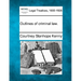 Outlines of criminal law.