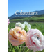 Colossians: Set Your Heart on Things Above