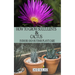 How to Grow Succulents and Cactus: Indoor and Outdoor Plant care