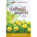 Daffodil Season