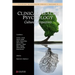 Clinical Health Psychology: Cultural Perspectives