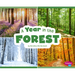 A Year in the Forest